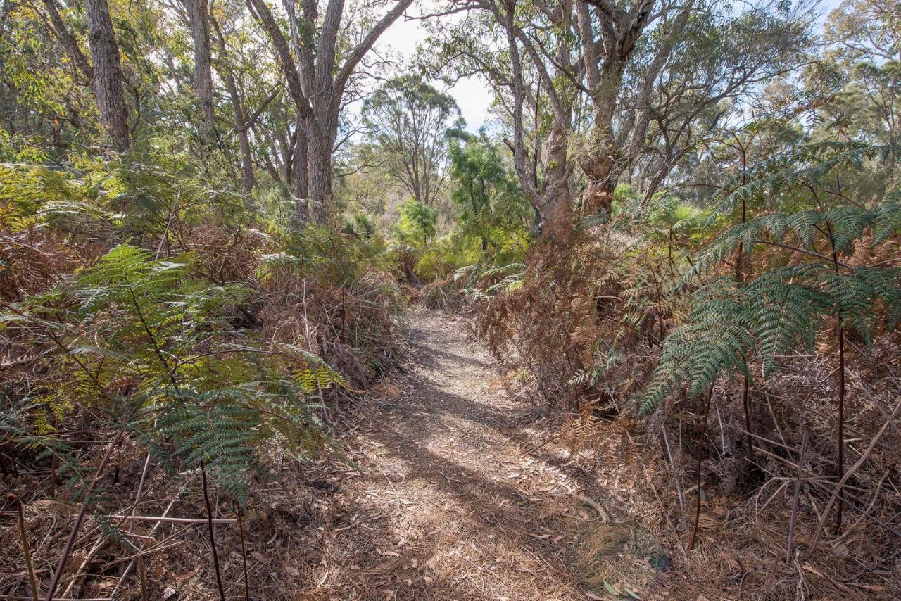 Yelverton Brook Conservation Sanctuary Metricup Esterno foto