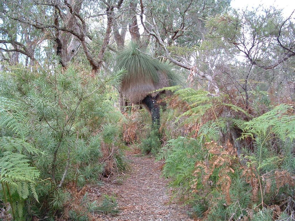 Yelverton Brook Conservation Sanctuary Metricup Esterno foto
